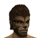 Musa